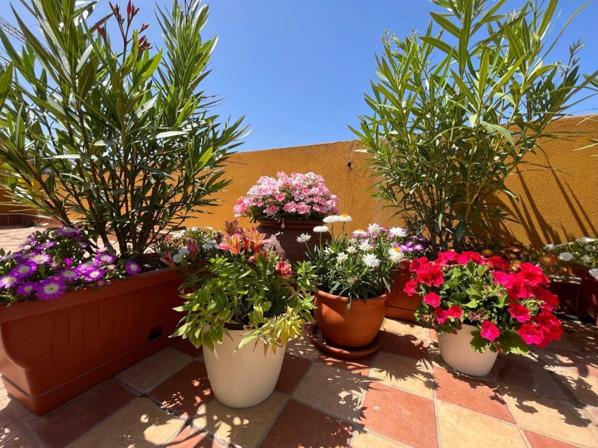 Casa Yvona Apartamento Alghero Exterior foto